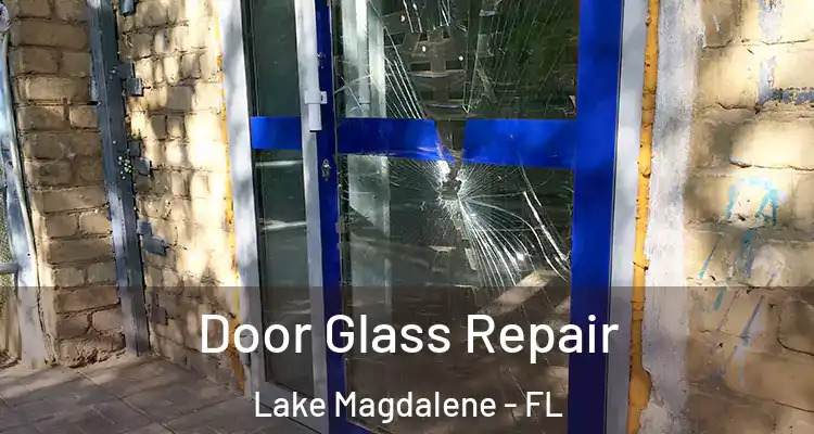  Door Glass Repair Lake Magdalene - FL