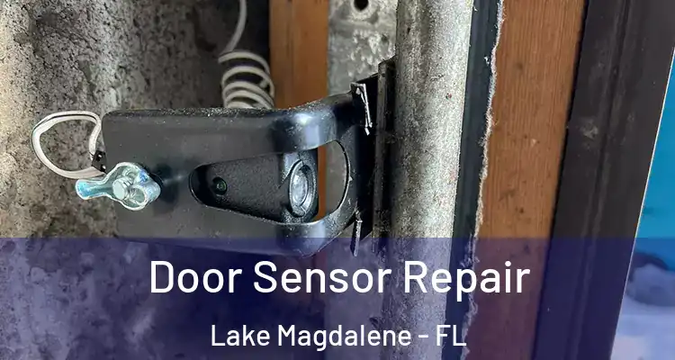  Door Sensor Repair Lake Magdalene - FL
