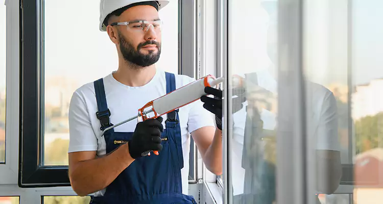 Window Frame Repair in Lake Magdalene, FL