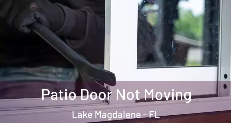  Patio Door Not Moving Lake Magdalene - FL