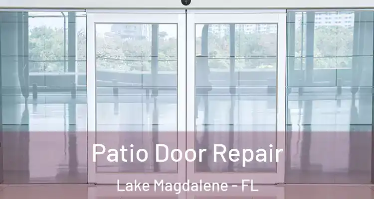  Patio Door Repair Lake Magdalene - FL