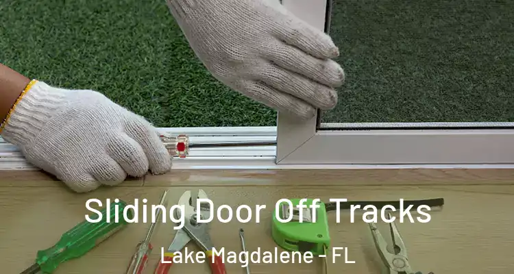  Sliding Door Off Tracks Lake Magdalene - FL